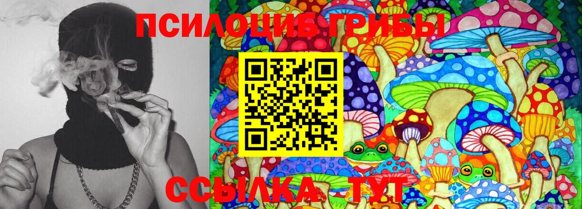 Кириши  Псилоцибиновые грибы мицелий  Галлюциногенные грибы мухоморы  Вход с VPN 